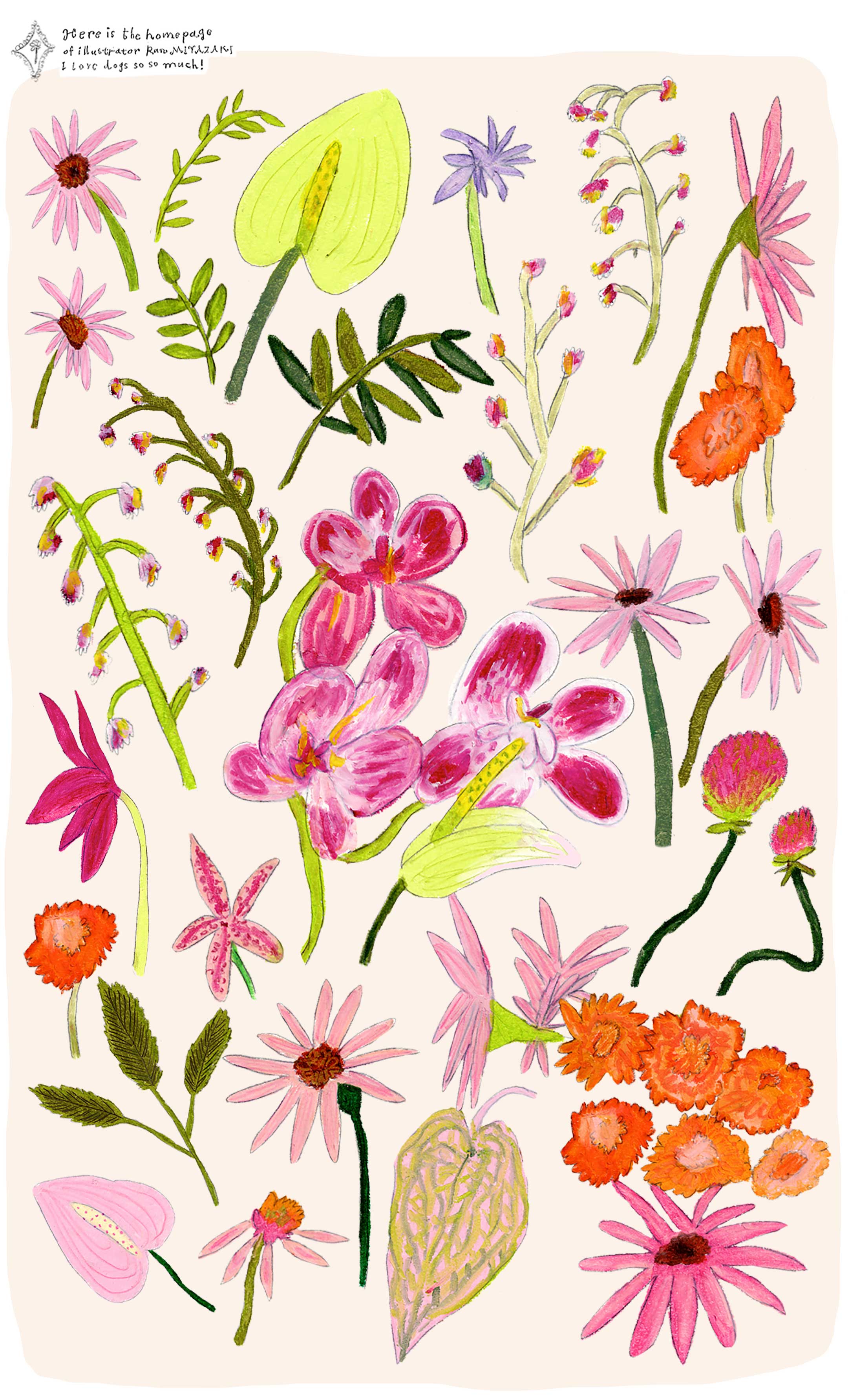 RAN MIYAZAKI flower
